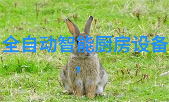 密封件设备-高效密封技术的应用与未来发展趋势