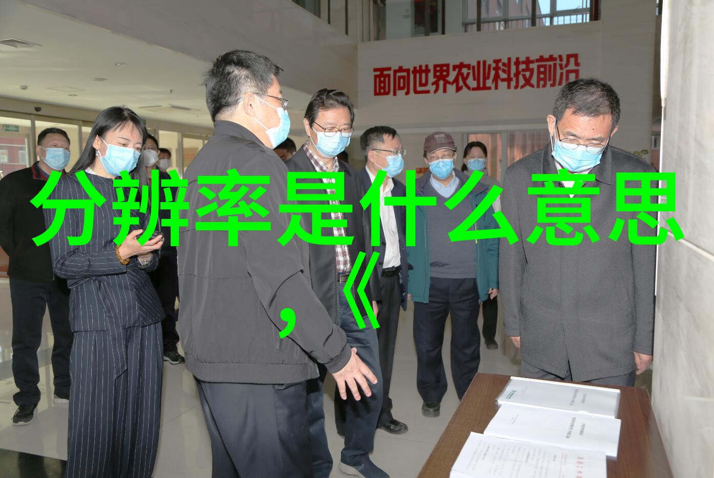 丧家狗-犬影孤影丧家狗的悲凉故事
