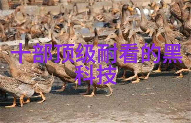 膏药机械的神奇世界