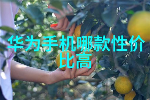 混合机的魅力探索搅拌机的生产奥秘