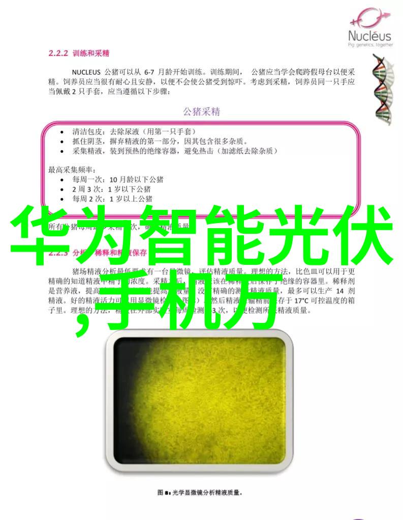 工程奇迹铸就未来城市的蓝图