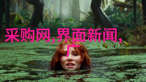 房子装修与设计我是怎么一步步把旧房子变成梦寐以求的家园