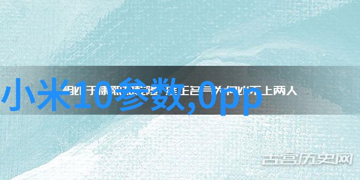不锈钢输送机工业流程中的效率提升利器