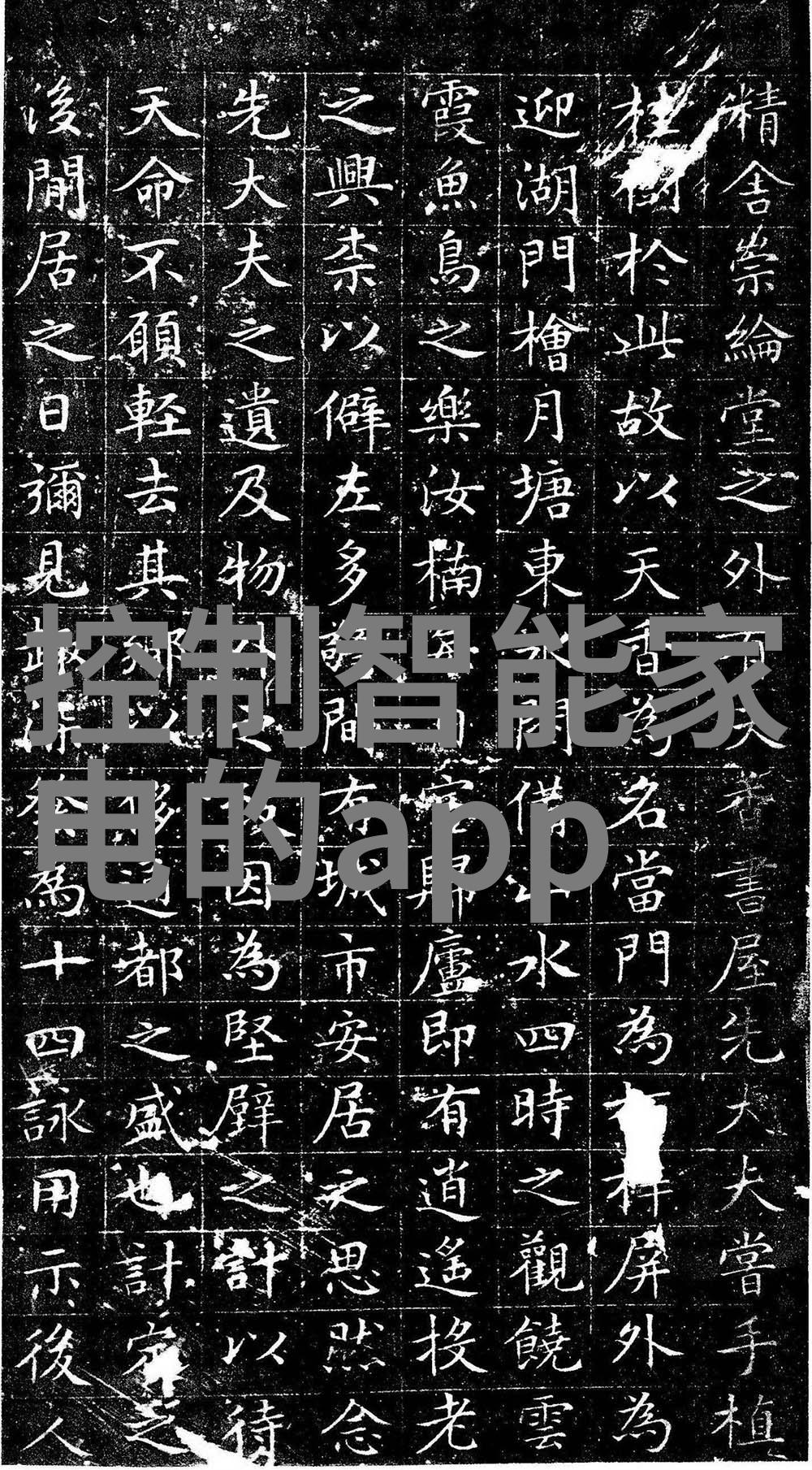 自动化解决方案企业和公寓中电动门的普及性分析