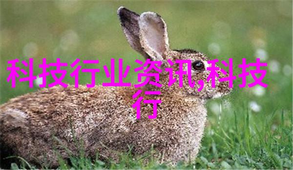智能装备是做什么的-智能化革命中的高科技助手