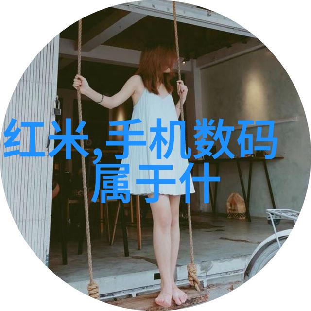 二手之轮回收网的旋转篇章
