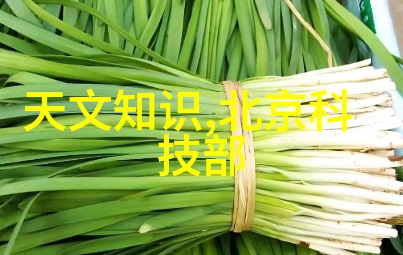 黄仁勋亲述创业故事两次都差点倒闭逆袭成为全球十大半导体公司的巨擘