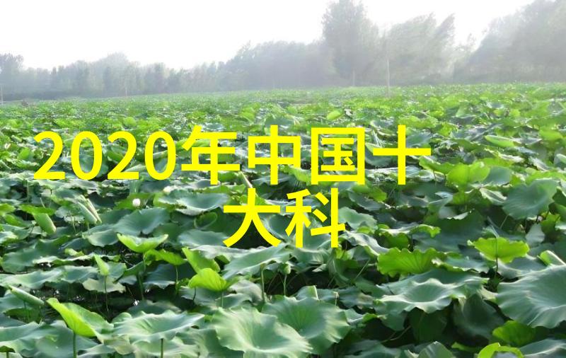 墙面处理与粉刷技巧分享