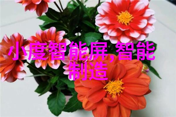 如何进行不锈钢输送机的日常维护和清洁以延长其使用寿命