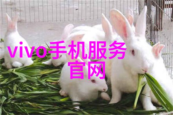 如何正确操作和维护我的喷雾降尘设备以保证其性能和寿命呢