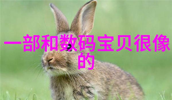 不锈钢生产厂家精益求精的工艺与创新