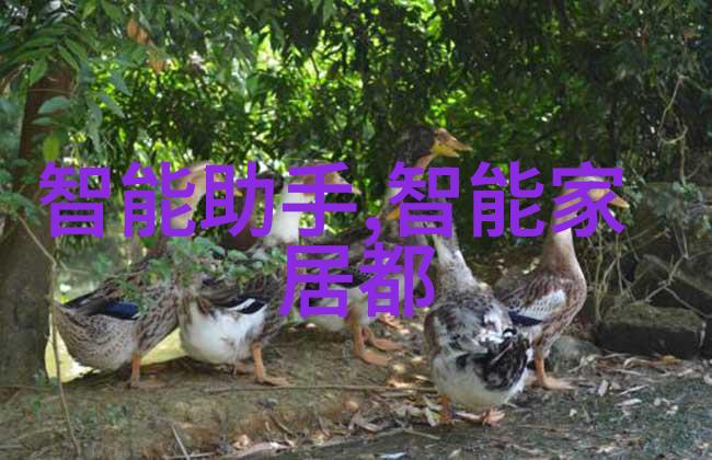 不锈钢丝网-高效节能的金属填料应用探究