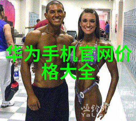智能装备方案-高效无缝未来企业的智能化转型策略