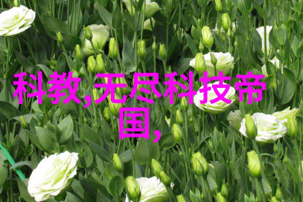 化工丸剂机械从混沌到精确的奇迹