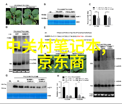 填料到底有什么作用能否详细解释一下