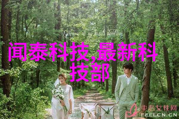 深圳信息职业技术学院我在深院的编程奇遇
