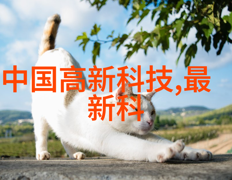 汽车发动机零部件大全揭秘引擎世界的每一个关键环节