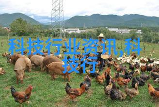 中南财经大学未来的金融巨擘正在这里孕育
