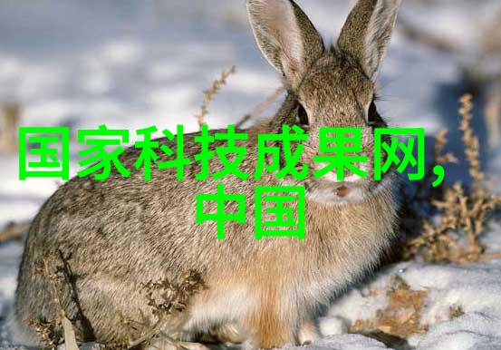 岳小钗的文心之旅从笔下到现实的奇幻征程