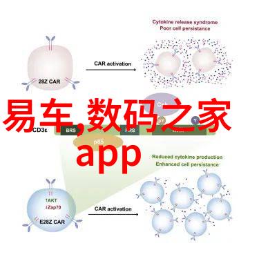 家居美学-佳园装饰营造温馨舒适的生活空间