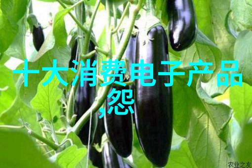 可穿戴设备在提升工作效率方面有哪些独特优势伴随着哪些职业挑战