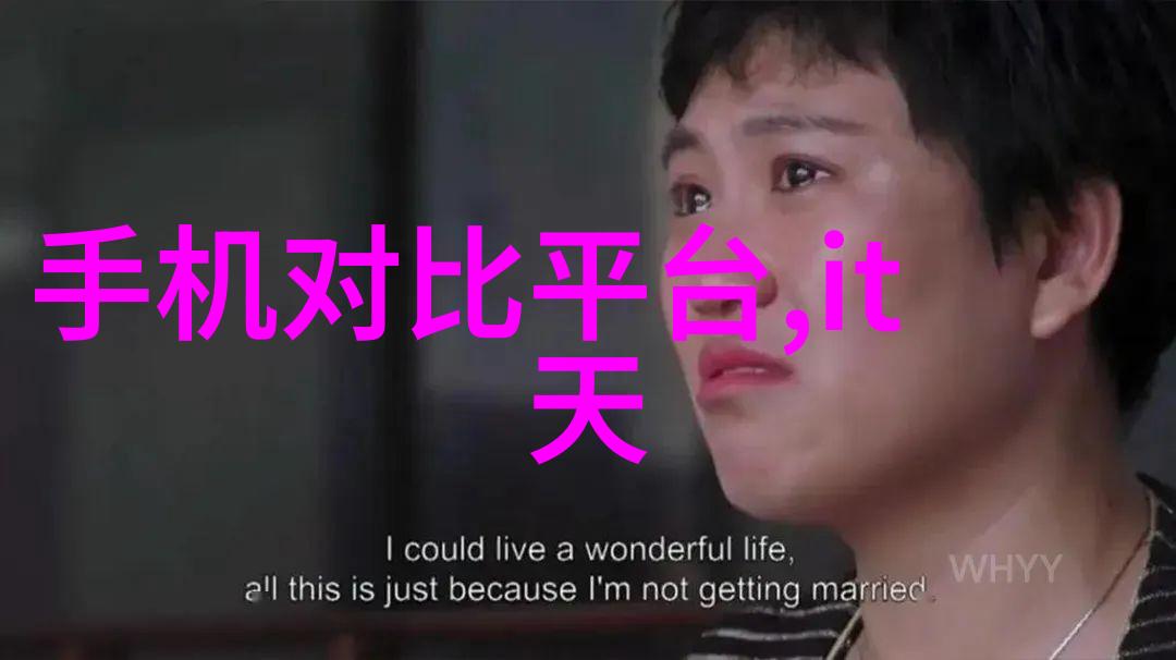 吸收器在环境监测和污染控制中的角色是什么