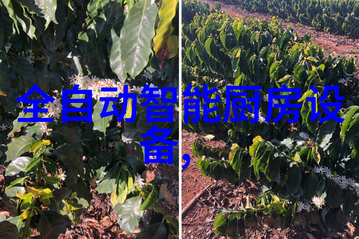 水位显示仪-水平监测的精准指挥者揭秘水位显示仪的工作原理与应用场景