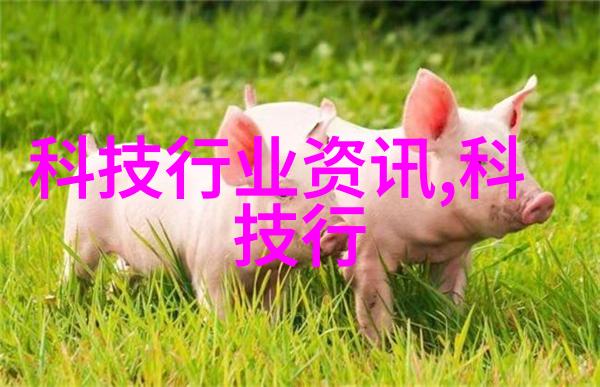 膏药机械-精准涂抹新时代膏药机械的革命性进步