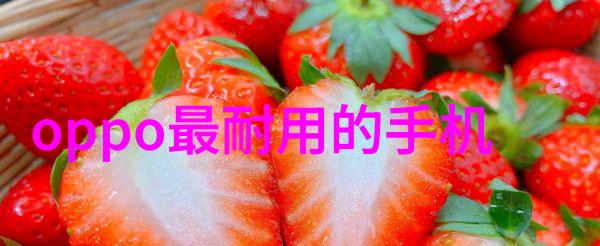 高效存储革命探索未来贮存设备的智能与创新