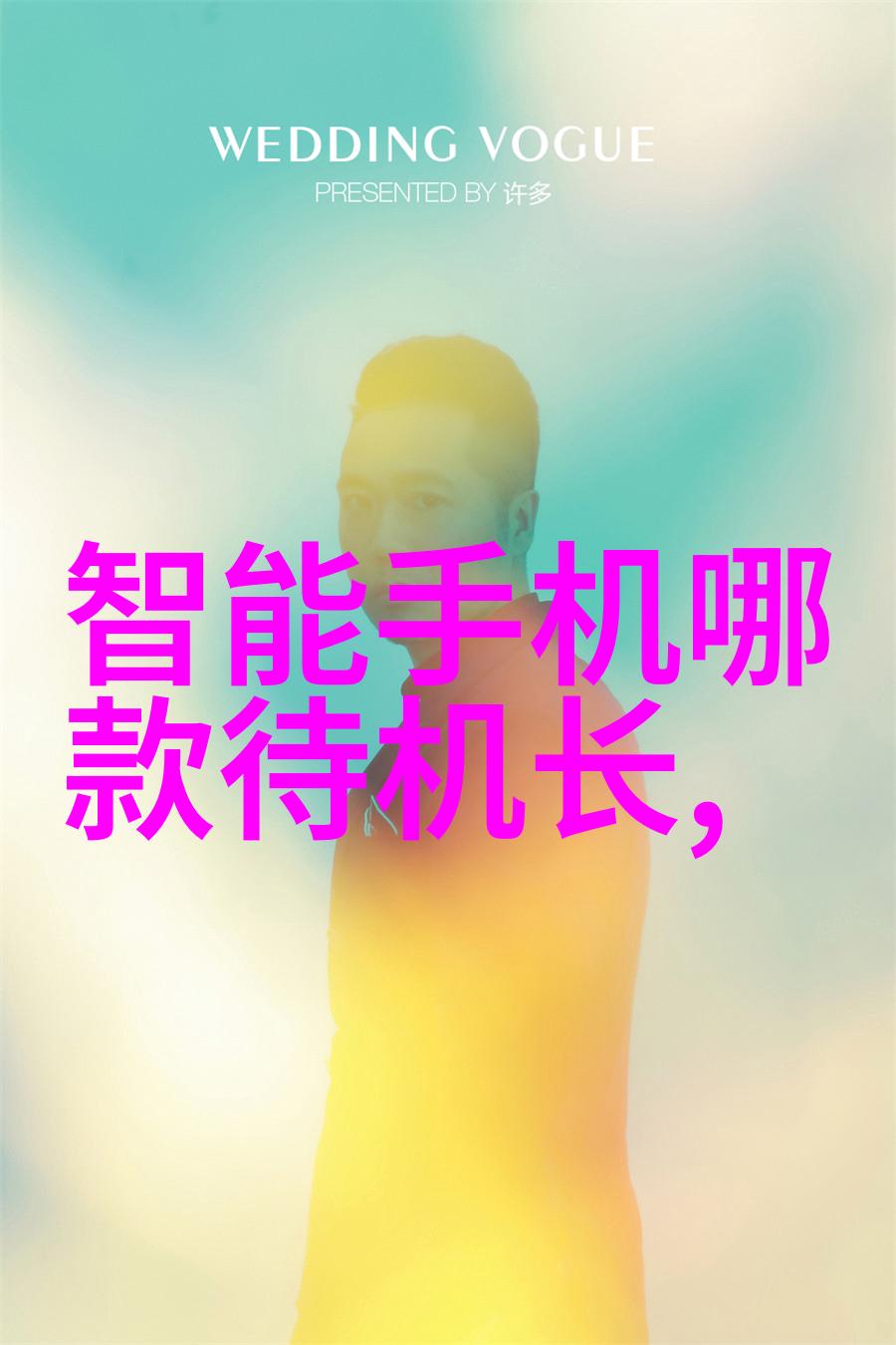 从水到气故事始于这里探索蒸汽发生器内部世界