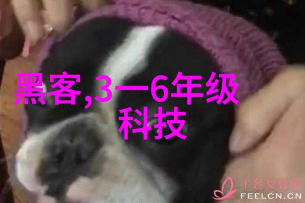 房屋装修设计图 - 精致居所探索房产装修设计图的艺术与实用
