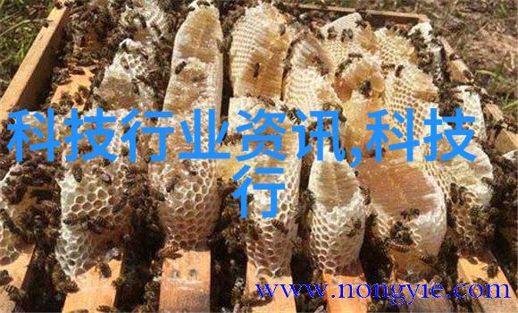 安静之境如何在繁忙都市中营造一个宁静庭院