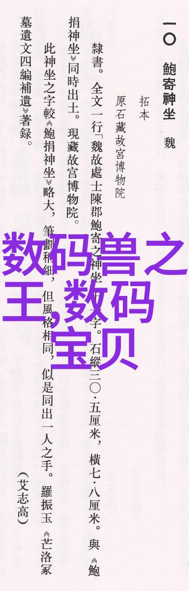 学术之翼编纂完美代写报告的艺术与智慧