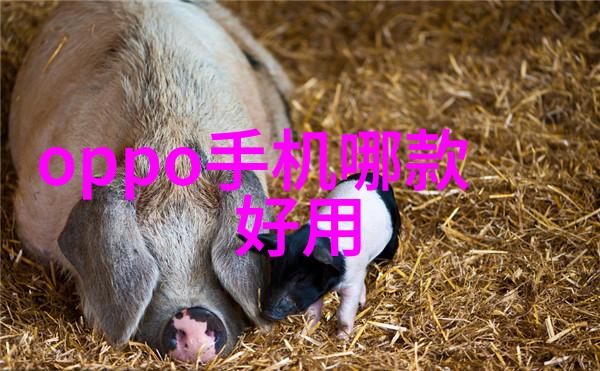 水源监测与处理解析直接饮用的水质安全标准
