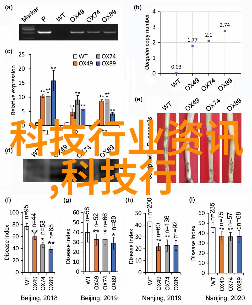 欲火焚烧我心中那把永不熄灭的火种
