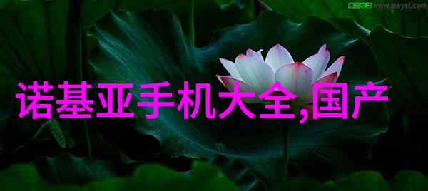 水质检测费用解析科学选择合适的监测服务