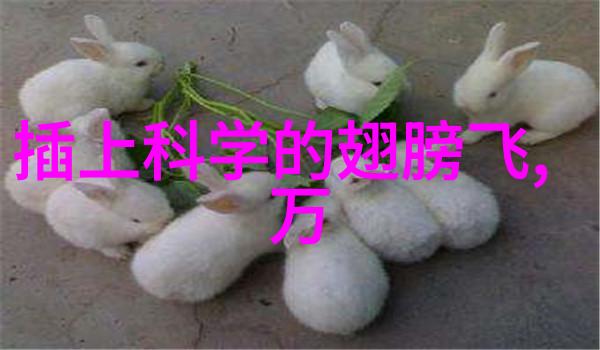 卧室装修图片我家那简约时尚的床上箱子让人一看就爱