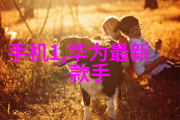 化工胶囊剂机械生产线高效自动化胶囊制备设备