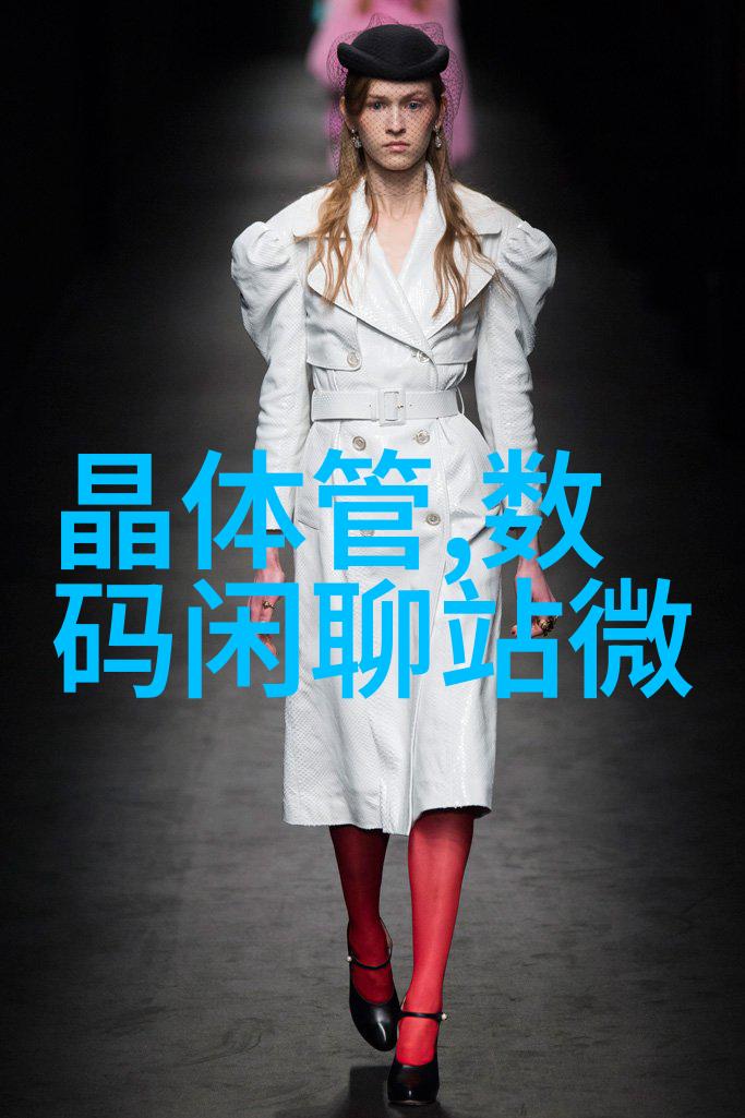 北京软件测评公司确保数字产品质量的守护者