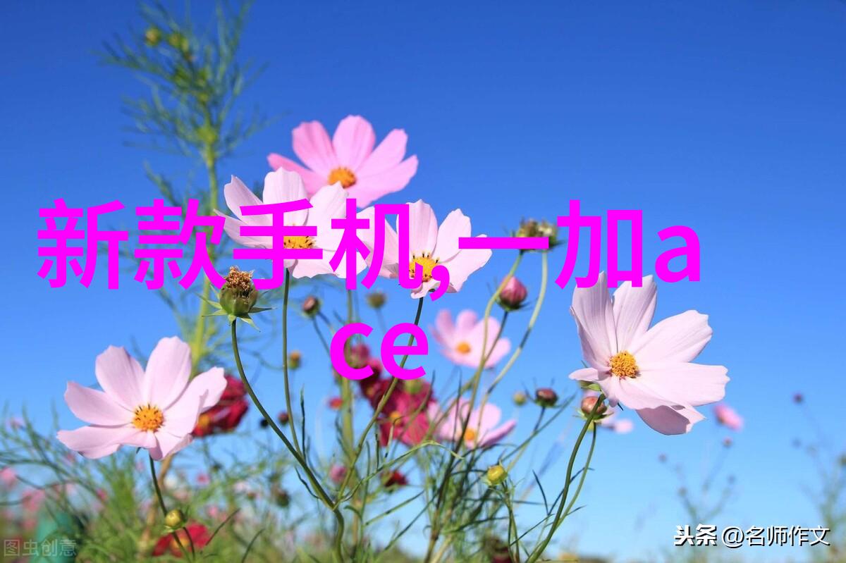 梦之居二手房的翻新奇迹