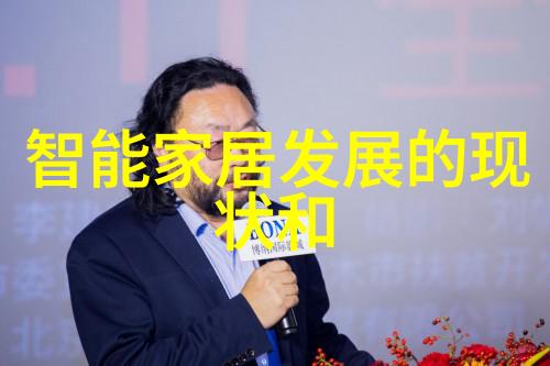 主题我是如何通过丝网规整填料型号来完美布局我的家居装饰的