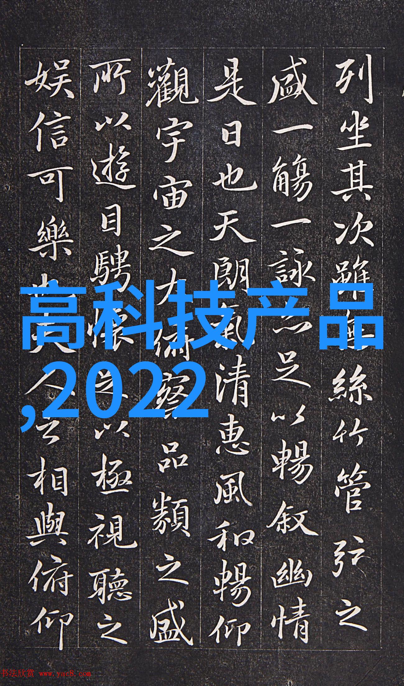 狗与猫的不和揭秘它们为什么成为情敌