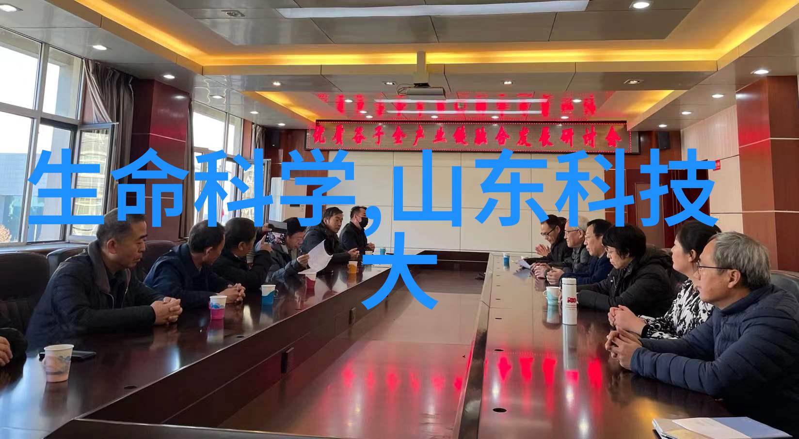 古典韵味与现代光彩成都装修设计的反差魅力