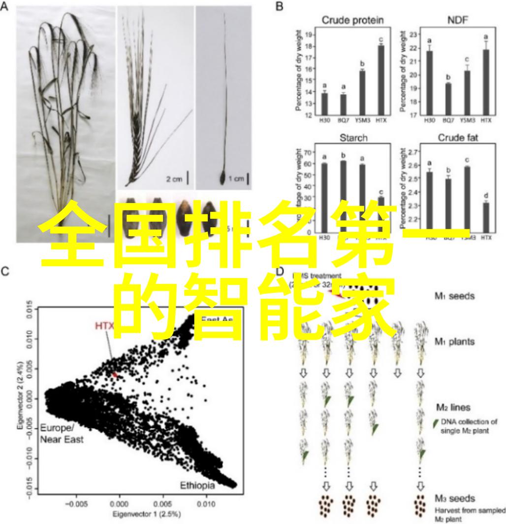 杭州装修设计我是如何在杭州找到了我的小窝的