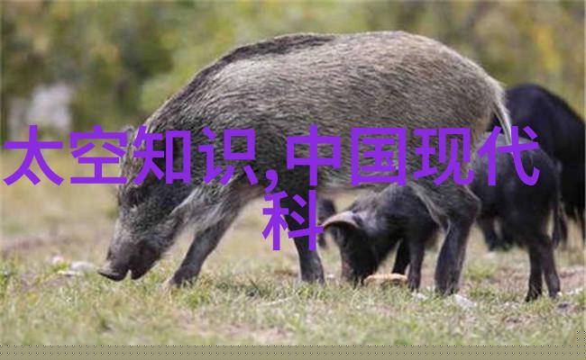 化工项目可行性研究报告技术经济分析与风险评估