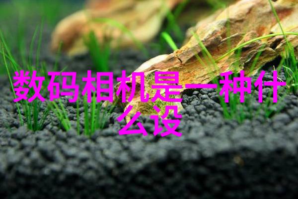 如何评估化工原料的安全性和可持续性