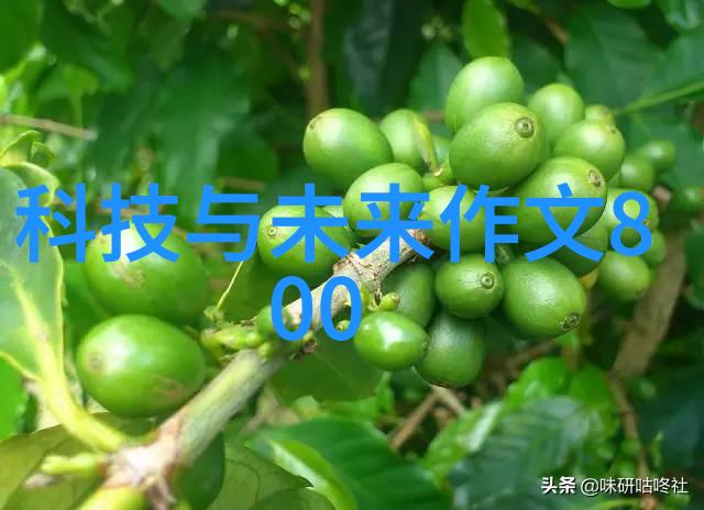 人防工程建设强化城市抗灾能力的关键措施