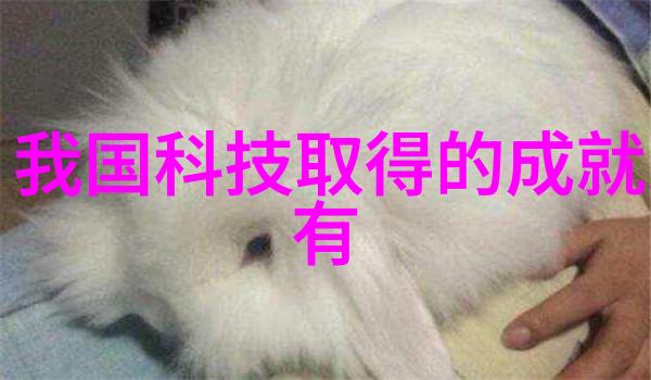 安全第一保障数据隐私内蒙古财经大学官网的安全措施