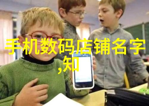 新兴市场需求下定制化填料解决方案探讨