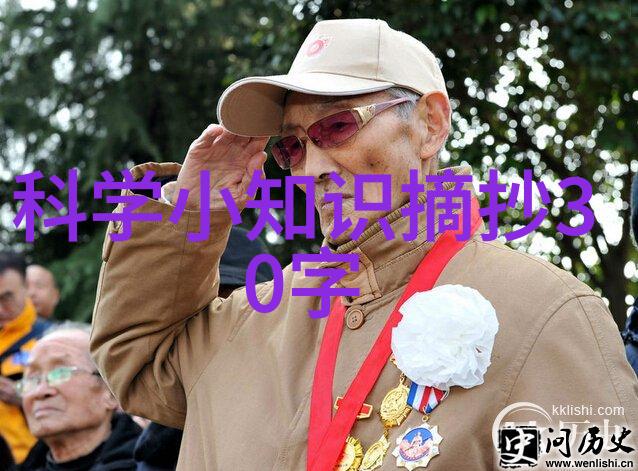 中药粉碎机我是怎么把这个小工具变成家庭健康的守护者